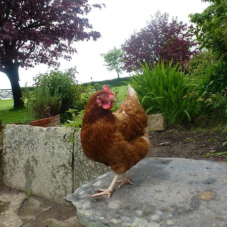Kidwelly Farmhouse B&B Экстерьер фото